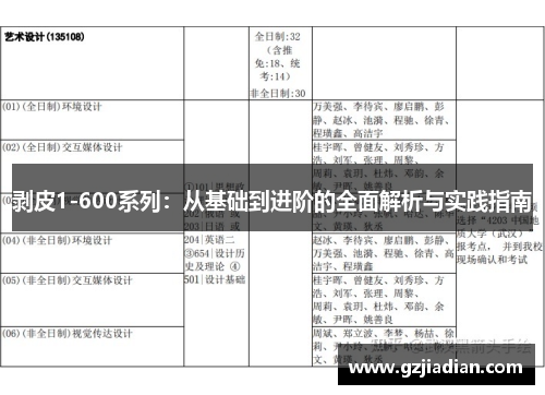 剥皮1-600系列：从基础到进阶的全面解析与实践指南
