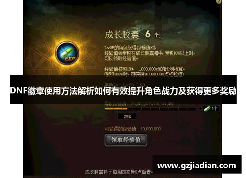DNF徽章使用方法解析如何有效提升角色战力及获得更多奖励