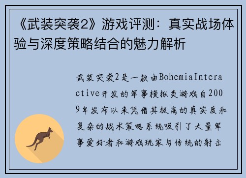 《武装突袭2》游戏评测：真实战场体验与深度策略结合的魅力解析